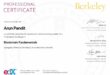 Professional Certificate in Blockchain Fundamentals from the University of California , Berkeley : Arun Pandit Professional Certificate in Blockchain Fundamentals from the University of California Berkeley Arun Pandit